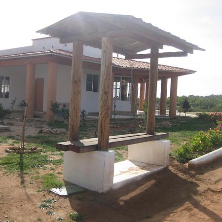 Little Nest En Rancho El Rossinyol ξενώνας Valle de Guadalupe Εξωτερικό φωτογραφία
