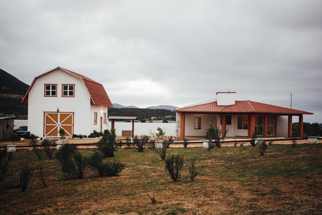Little Nest En Rancho El Rossinyol ξενώνας Valle de Guadalupe Εξωτερικό φωτογραφία
