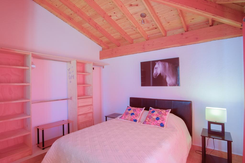 Little Nest En Rancho El Rossinyol ξενώνας Valle de Guadalupe Εξωτερικό φωτογραφία
