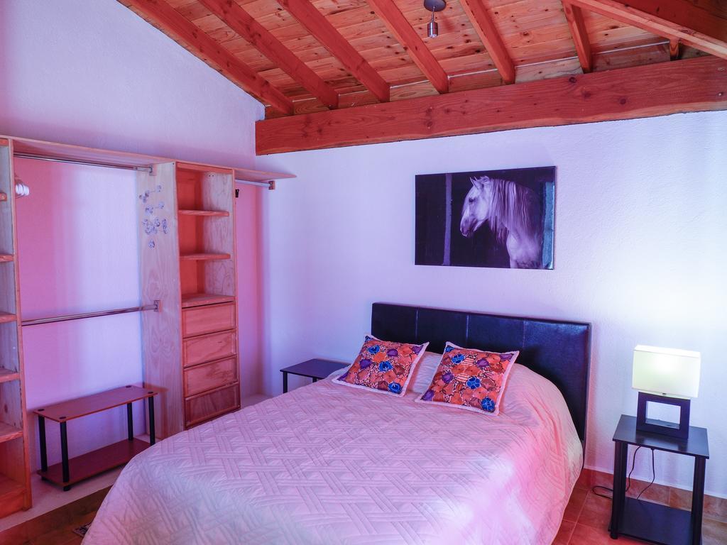 Little Nest En Rancho El Rossinyol ξενώνας Valle de Guadalupe Εξωτερικό φωτογραφία