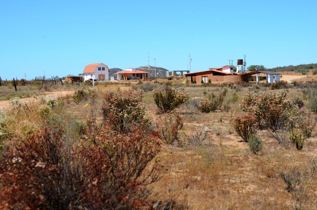 Little Nest En Rancho El Rossinyol ξενώνας Valle de Guadalupe Εξωτερικό φωτογραφία